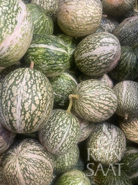 BIO semená Tekvica Figový List Feigenblatt cca 10 semien 